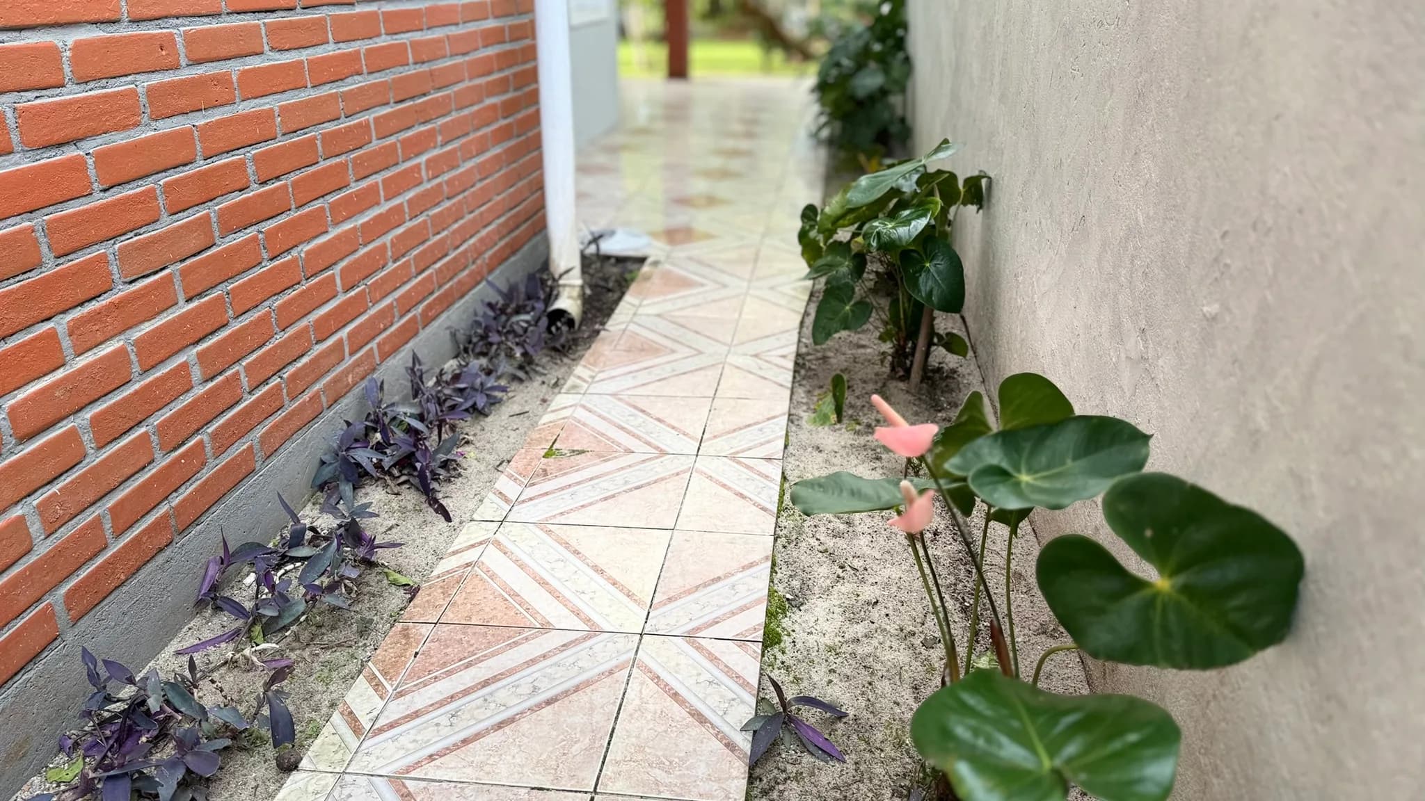 Foto 52
