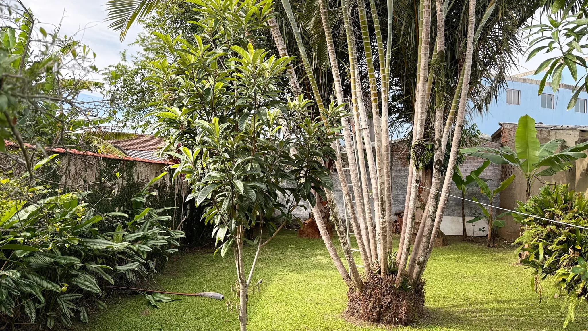 Foto 51