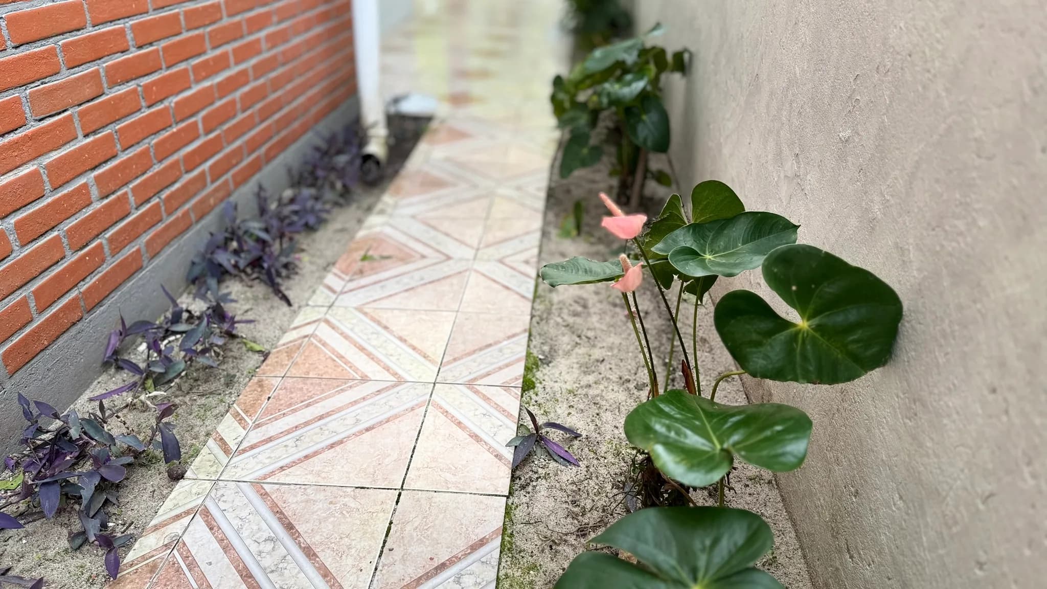 Foto 53
